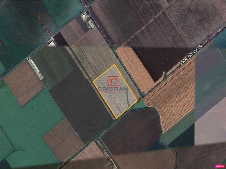 19 hectare in Ilfov, - 3