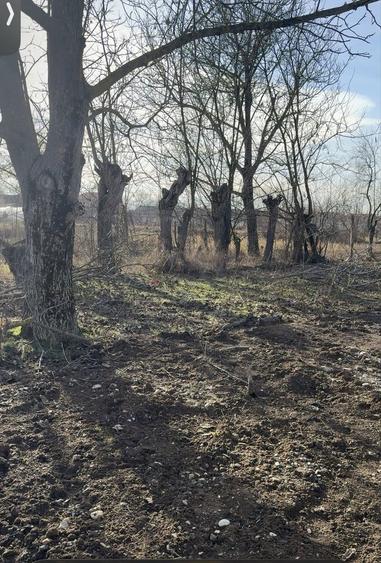 Vand teren 1500mp - 3