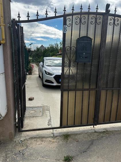 Casa deosebita Pantelimon - 10