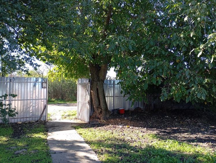 Casa cu teren de 2000 m - 4