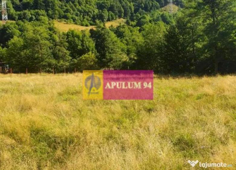 Teren Jude?ul Valcea - Brezoi, Valea lui Stan - 17