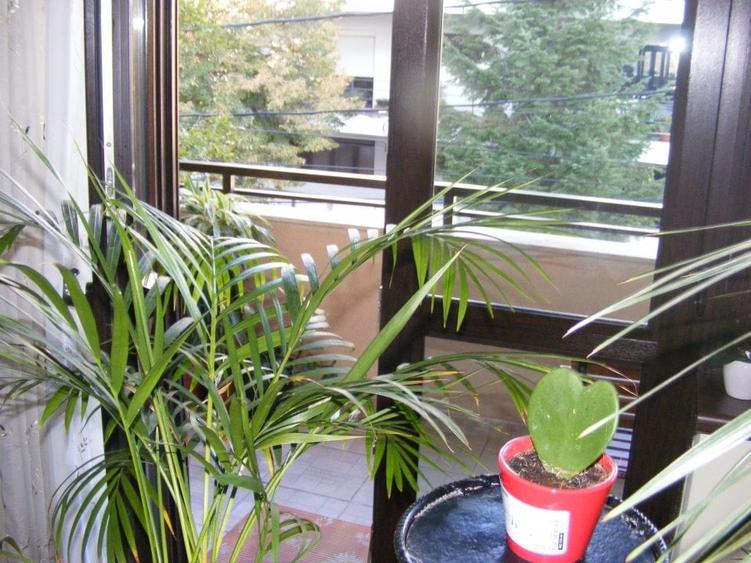 Domenii,imobil 2007,etaj 1/3,150 mp,loc de parcare subteran. - 7