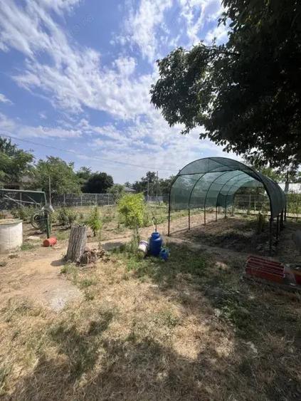 Casa de vacanta - Munteni Buzau - Jutetul Ialomita - Curte 2000mp - 3