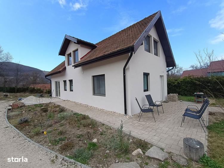 2 case pe curte / posibila investitie - 10