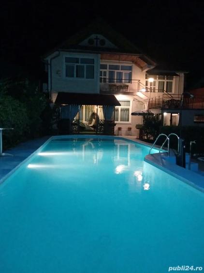 Vand proprietate mare la 10 km de Timisoara la Giarmata - 2