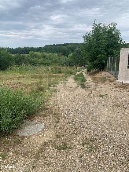 Teren intravilan in Paleu - 3