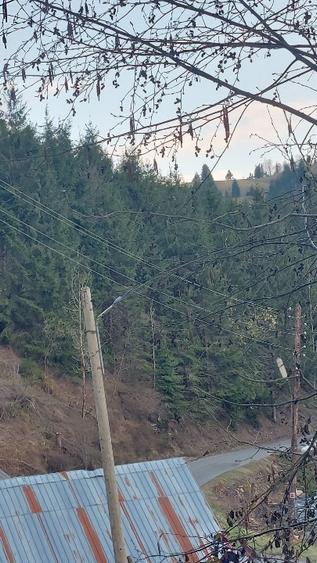 Teren intravilan de vânzare  - 3