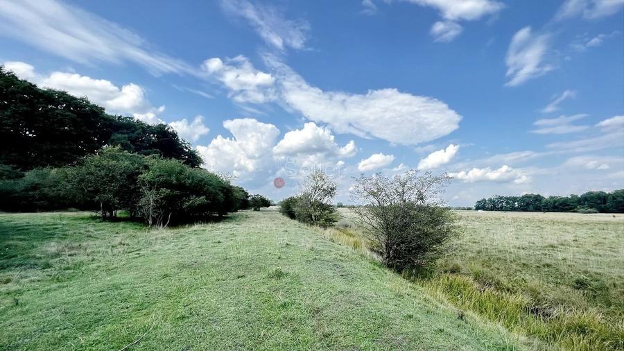 Teren Extravilan - 3