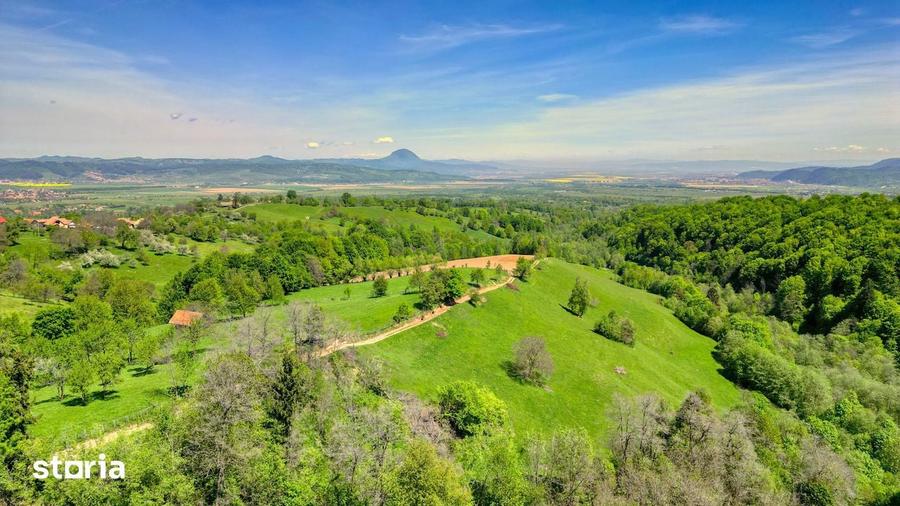 Teren extravilan 20.000 mp, zona retrasa, vedere spre Mun?ii Bucegi - 4