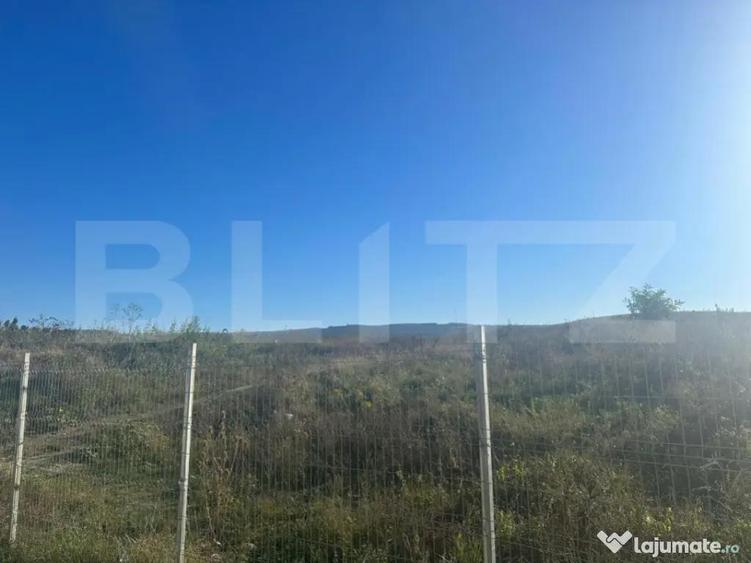 EXCLUSIVITATE - 11 100 mp SOPOR cu destinatia de CIMITIR - 4