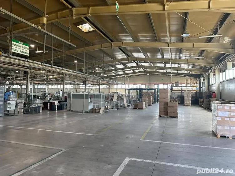 hala productie 8000 mp - 5