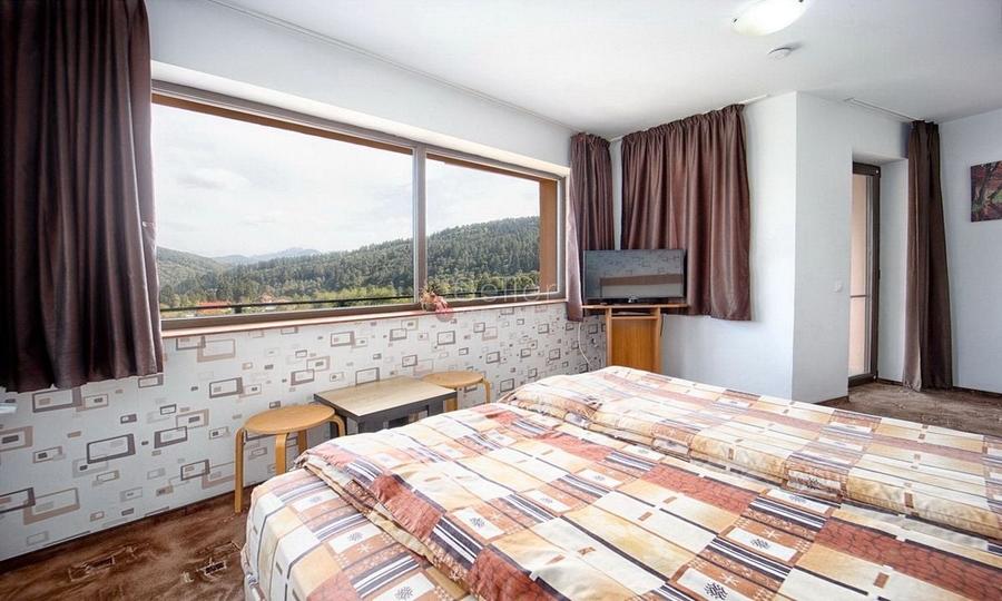 Pensiune Turistica Montana - 36