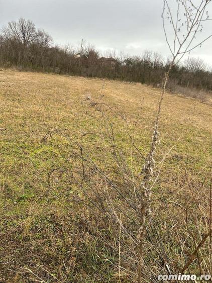 Casa de vanzare - 10