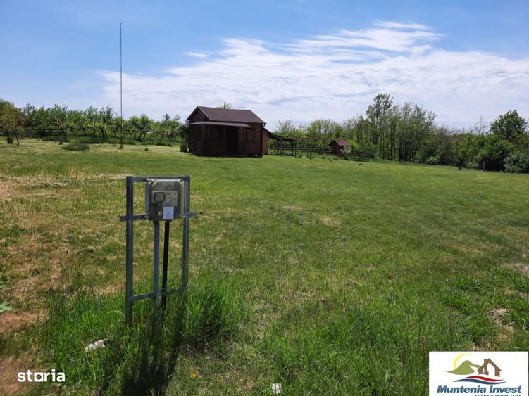 Teren 850 mp,Albota(Morlovani) - 10