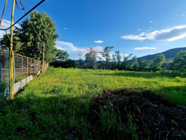 Teren 1,749mp Piatra-Neamt / Strada Zambilelor - 8