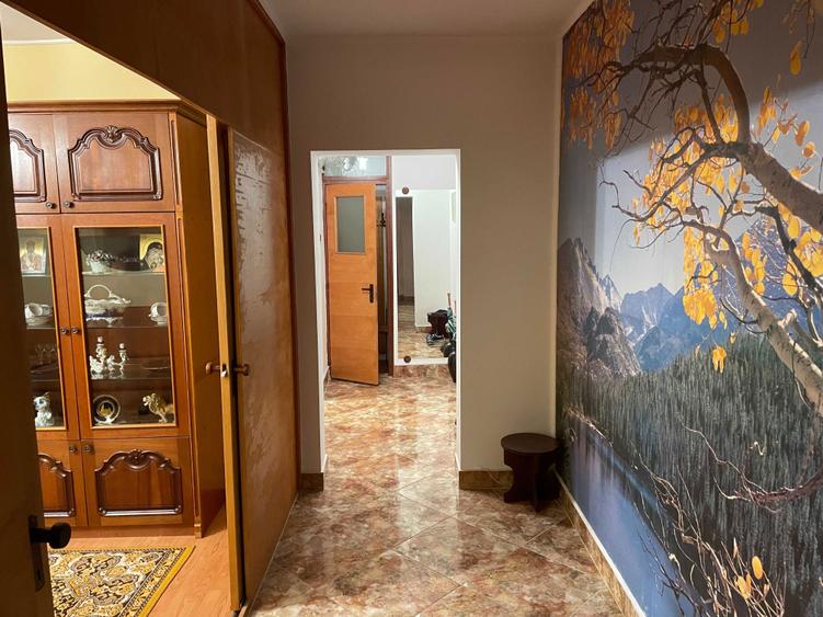 apartament 2 camere, zona Fratii Golesti - 6