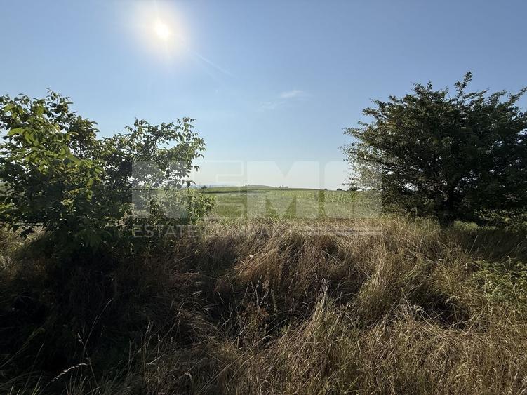 Teren agricol extravilan de 2300 mp, în Est