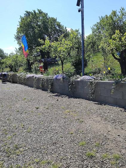 Teren de 6000 mp, în Fălticeni