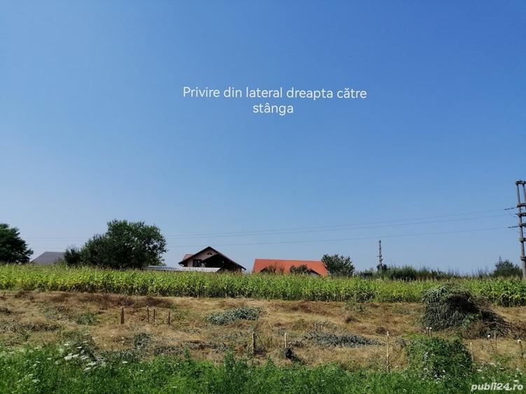 Teren de 3100 mp, în Central
