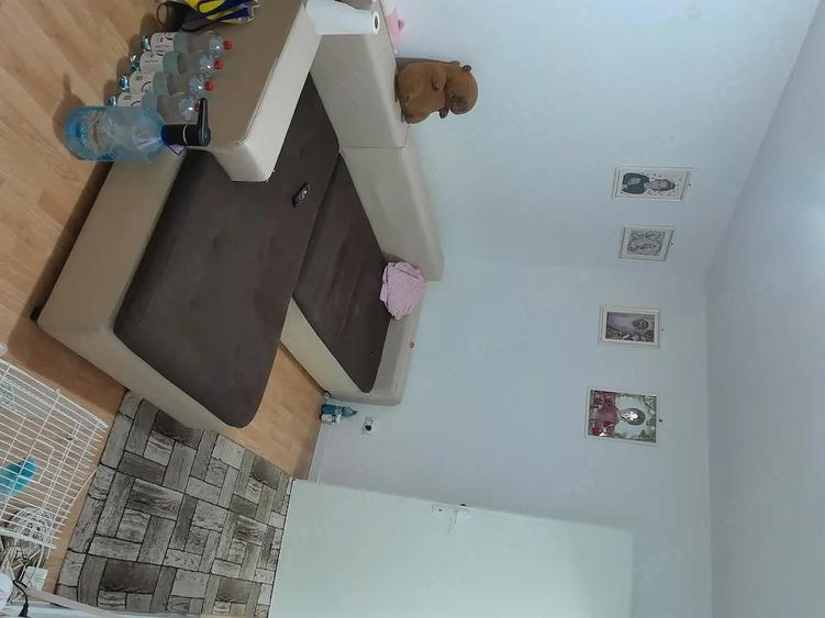 Apartament cu 2 camere semidecomandat în Șagului