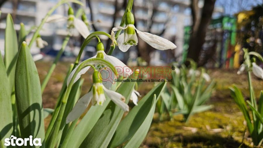 2 camere - bloc boutique - parter - Drumul Jilavei Aparatorii - 8