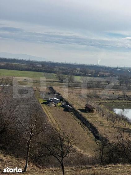 Teren extravilan 3100 mp cu iesire la raul Mures - 6