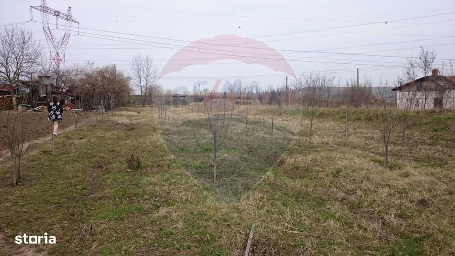 Teren 2,500mp Picaturile / Strada Principala - 3