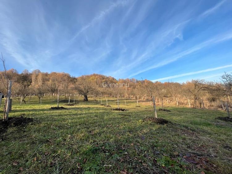 Vila constructie si livada