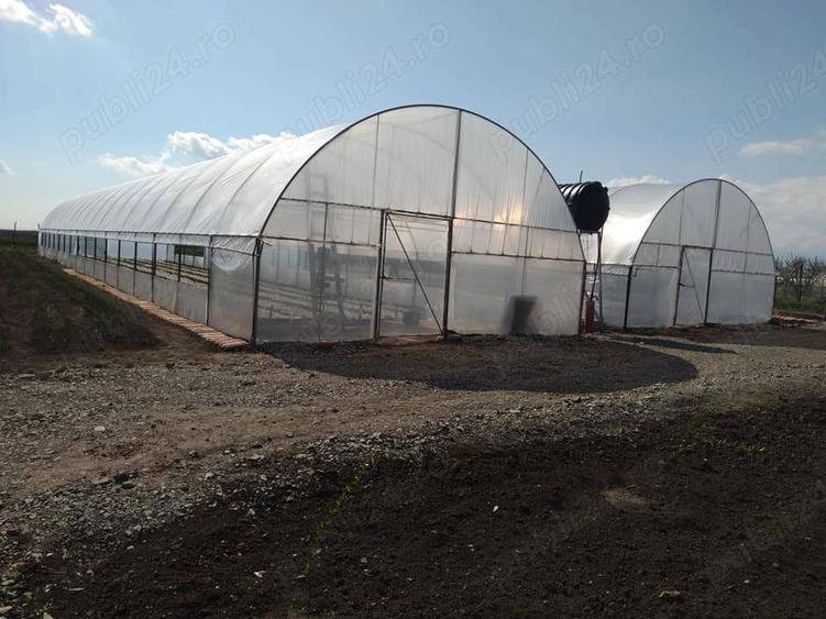 Proprietate de vanzare langa Bucuresti - 9