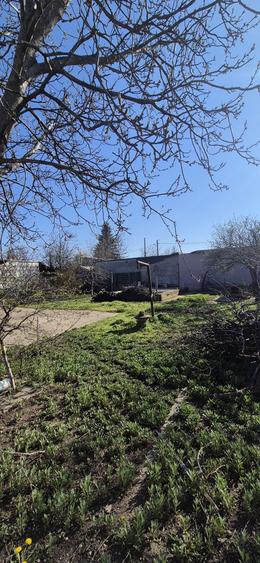 Vand teren intravilan Giulesti 400 mp - 4