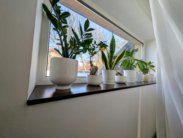 Cocheta,renovata 2024, P+M,in zona linistita de case,strada lata,teren generos - 7