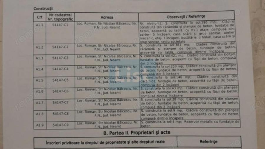 Spatiu industrial de vanzare, 8120 mp, Neamt - 2