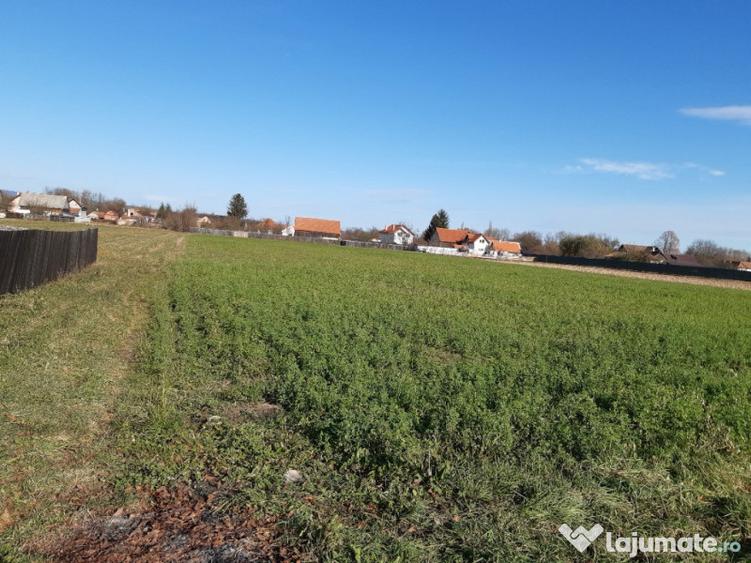 Teren intravilan central utilitati construibil Lunca Calnicului 2325mp. - 5