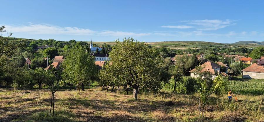 Vind casa Filea de Jos , teren suprafata 1800mp - 1