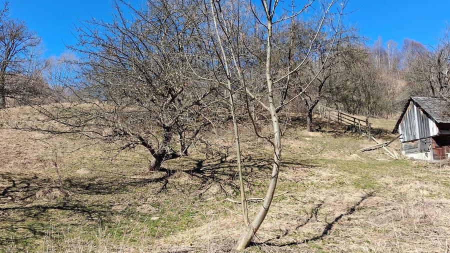 Vand teren dambavocioara 1990 mp - 3