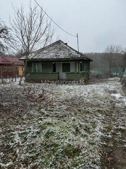 Vând teren intravilan Snagov Vând teren intravilan Snagov