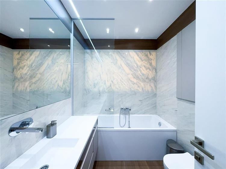 Apartament de inchiriat 4 camere Kiseleff - 21