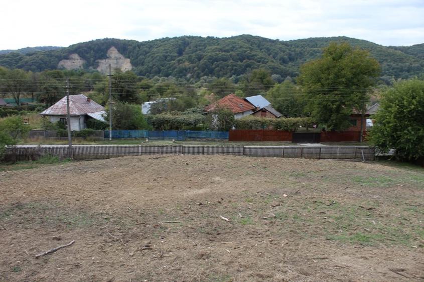 Casa si teren 5.000 mp, Stroesti - 10