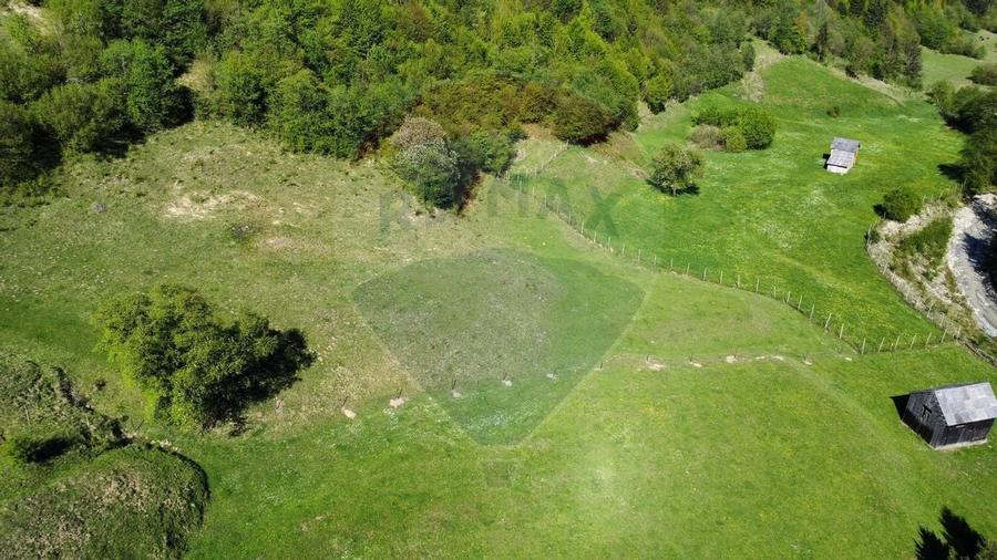 Teren 12,127mp Frasin / Drumul Forestier Valea Seacă - 3