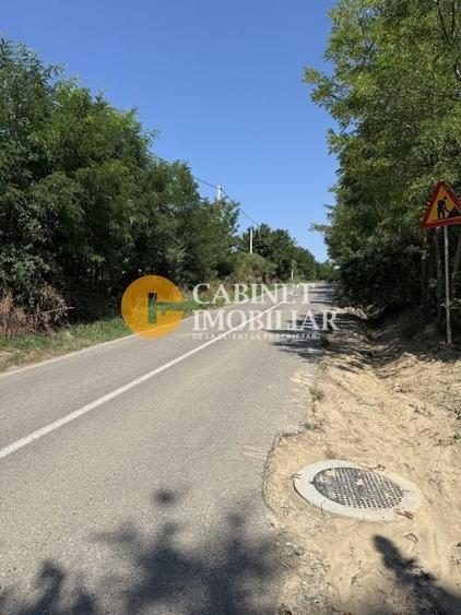 Teren Aroneanu 7200 sau 14.400 mp - toate utilitatile - la asfalt - 2