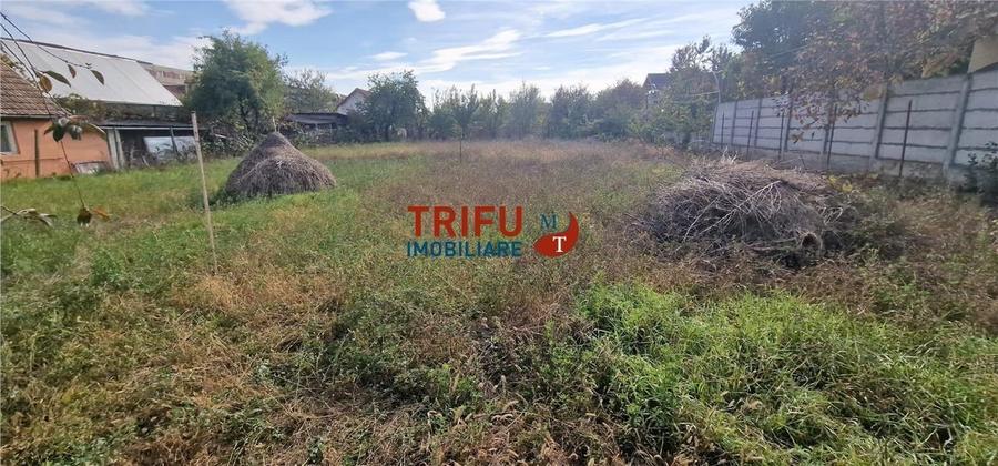 Casă de vânzare zona Cetate Schit 740 mp teren - 12