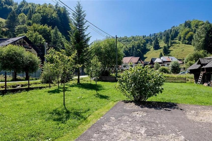 Case si teren generos de 9400 mp in Dambovicioara, Arges