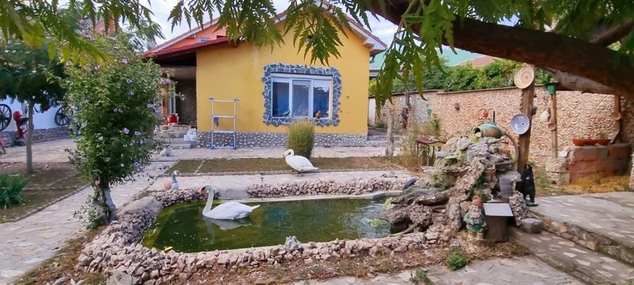 Casa parter cu teren de 1400 mp in Bariera Valcii aproape de drumul expres - 19