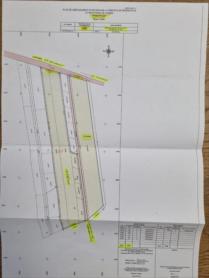 Teren intravilan 15.000 mp, deschidere 43 m – Str. 23 August, Otopeni - 1