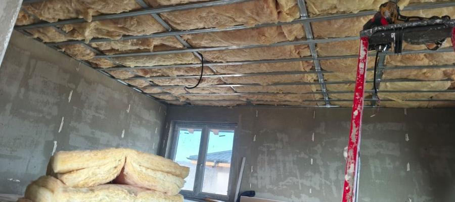 Casa de vanzare Tomesti - 8