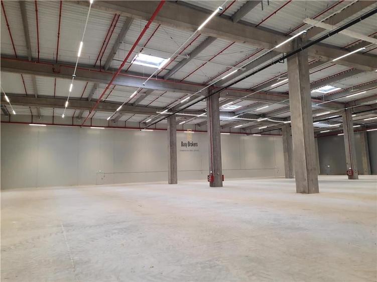 Spatii Industriale - 10000 mp - Logistica - Productie - Depozitare - Distributie - 11
