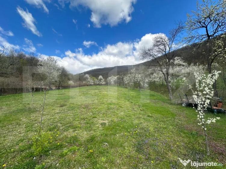 Casa cu 1.2 ha teren, lini?te totala, livada, acces asfa - 9