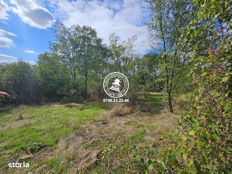 Teren intravilan 904 mp, langa padure - Aroneanu , Iasi - 1