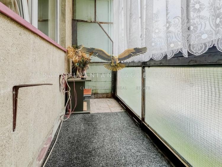 Locuinta decomandata cu 2 camere|situata pe A. Vlahuta|Grigo - 12