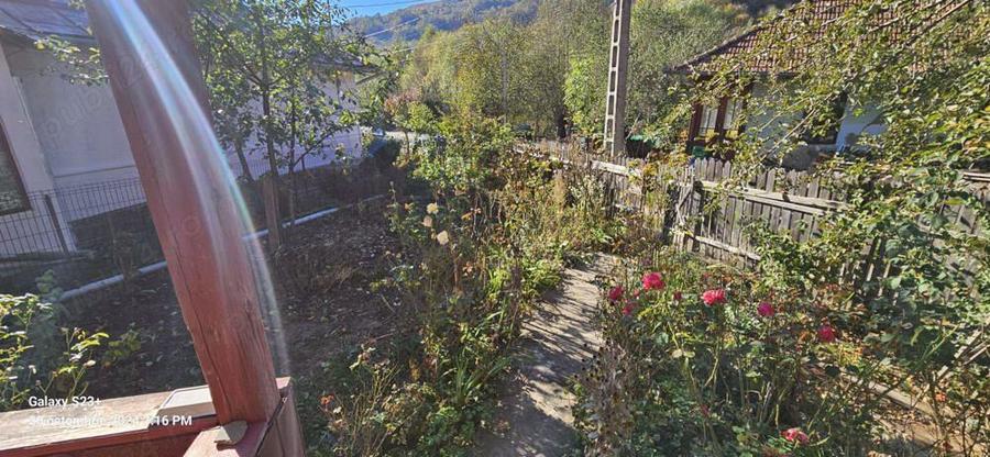 Cristea Gheorghe - 7